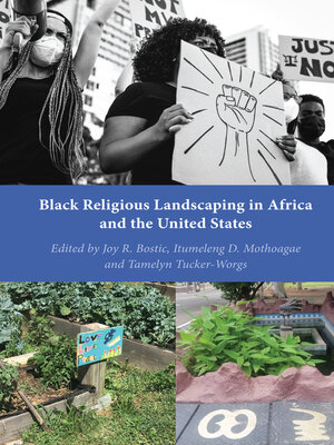 cover image of Black Religious Landscaping in Africa and the United States